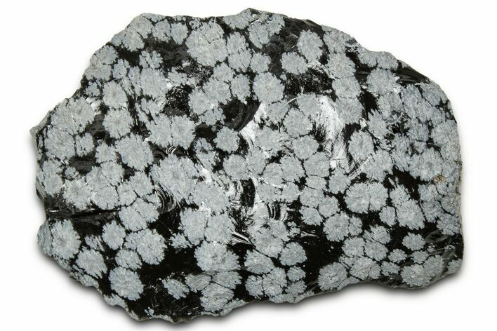 Snowflake Obsidian Section - Utah #327128